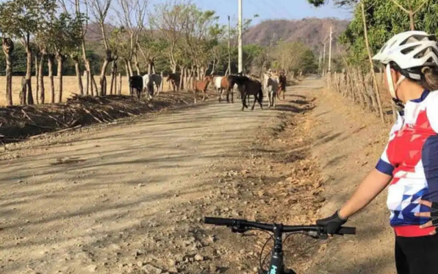 Hidden House Casa Escondida