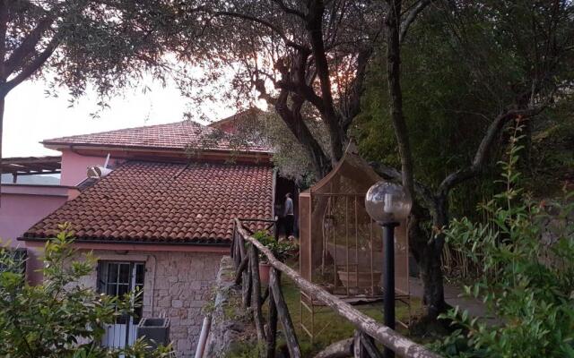 La Camera Tra Gli Ulivi Dream Finale