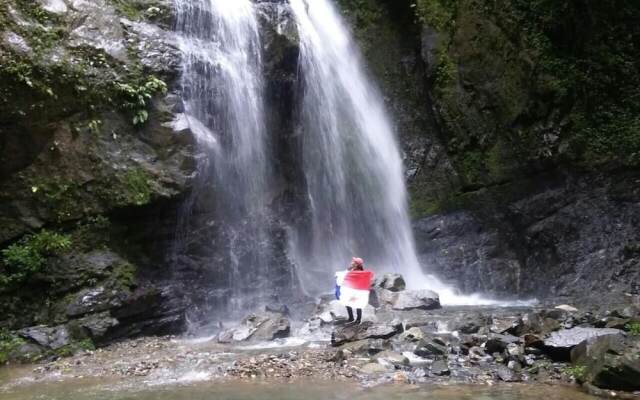 Rainforest Yasmin Hotel