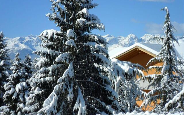 Hotel e Appartamenti Al Larice