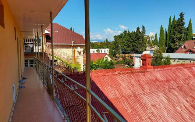 Волна (Адлер)
