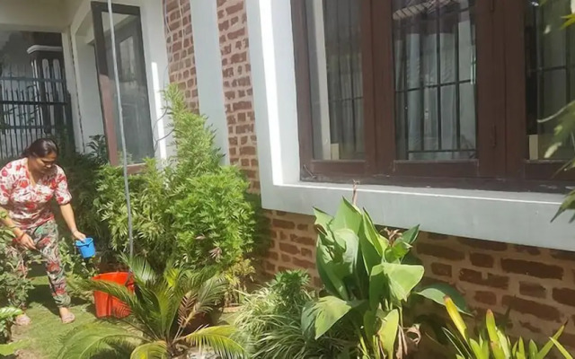 Queen Forest Homestay