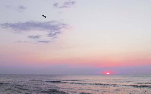 Beach House Dune 19 - Joy
