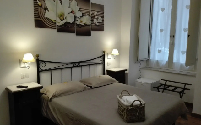 Napolipietrasanta LT