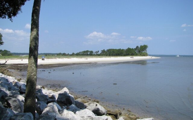 Night Heron by Vtrips