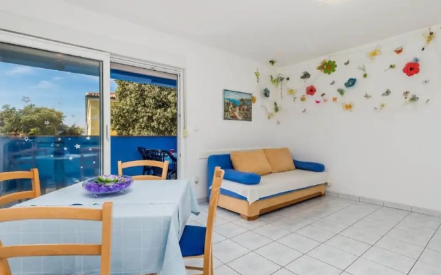 Pretty Apartment in Mandre With Barbecue
