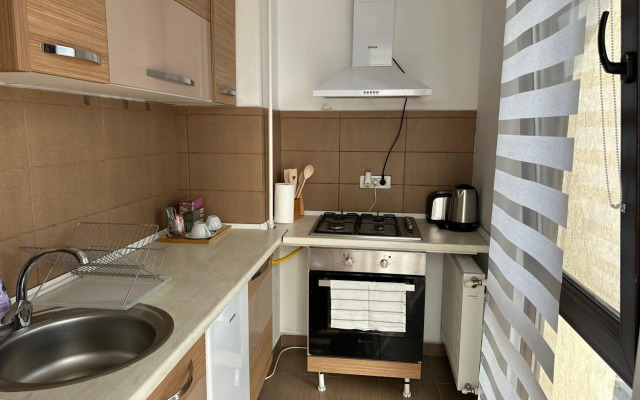 Central Studio Bucur