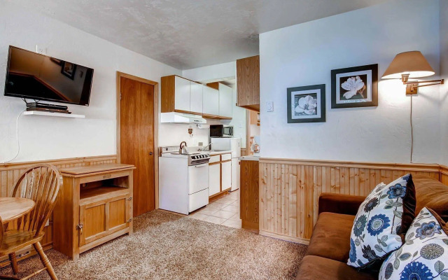 Breckenridge Park Meadows by Ski Country Resorts