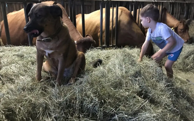 Ferienwohnung Rummelsmühle