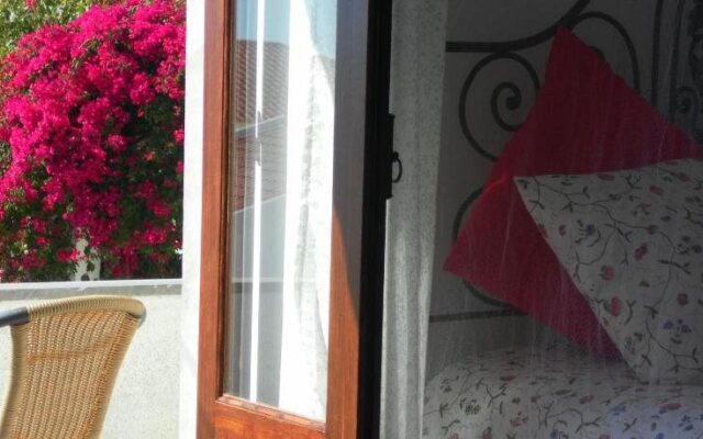 Lemon Tree Hostel