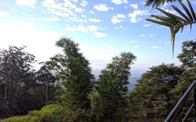 Mist Inn Resort