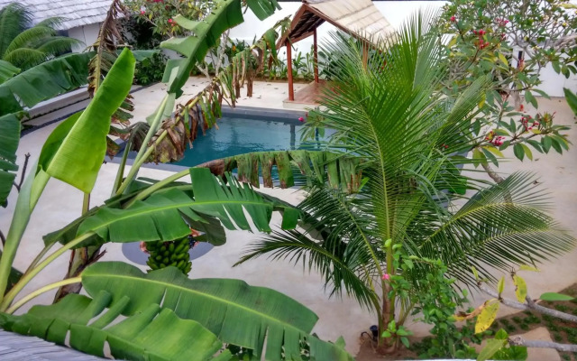 Villa Kalachuchi B&B