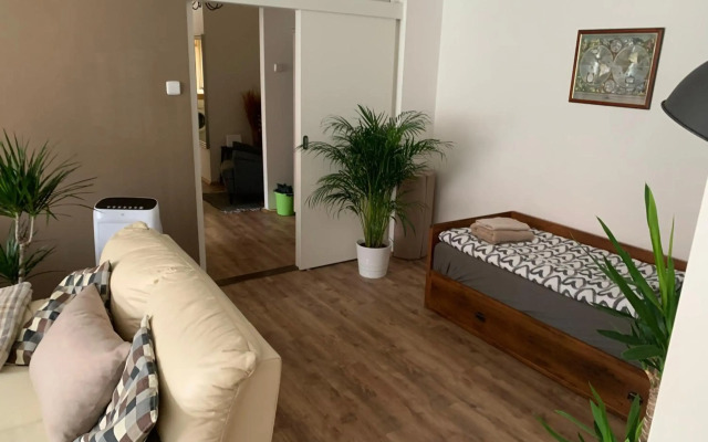 Anenska by Charles Bridge 2