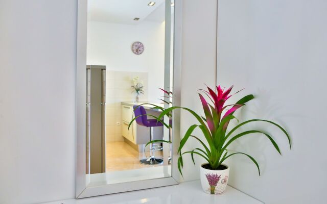 Summer Lounge Apartments