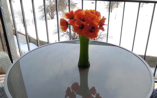 Sunny apartment in Kechi House, Tsaghkadzor