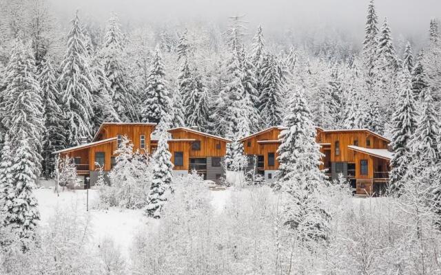 The Mountain Project #2