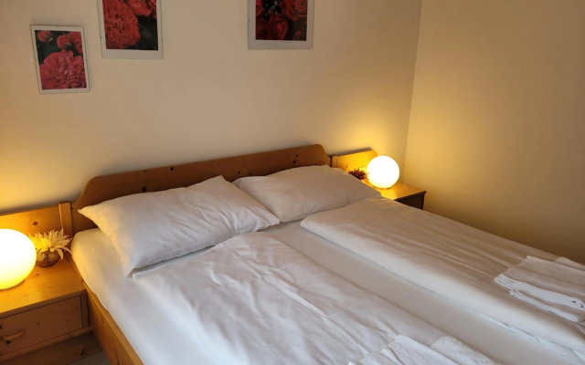 Profelt`s Apartments Uttendorf Steinbock Lodges