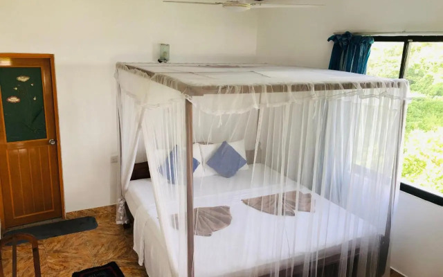 Surf Paradise & Cabana