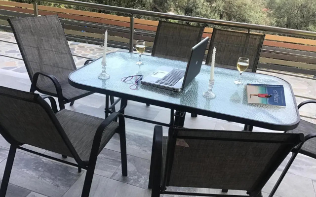 Zois' House