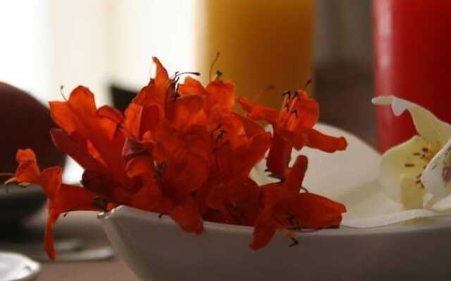 Lhotel Dei Coloniali