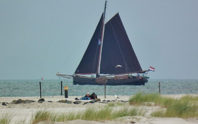 Sunlit Villa with Sauna in Nes