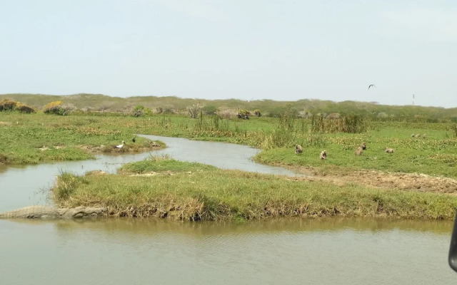 Hotel Bundala Park - Hostel