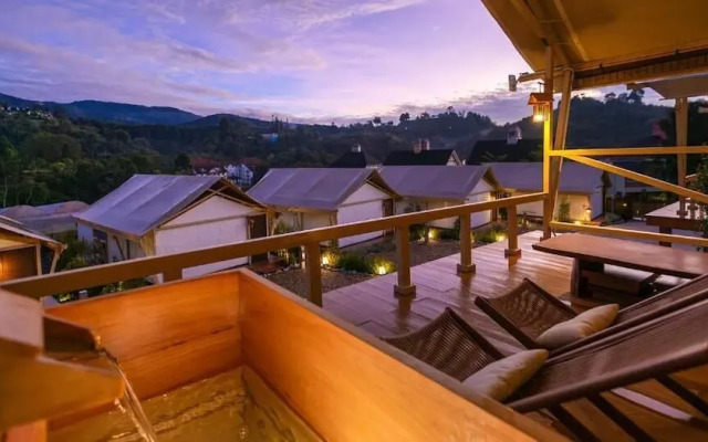 Zen By Stellar Cameron