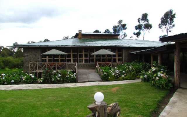Mountain Gorilla View Lodge