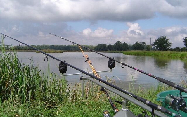 La Roulotte Des Elfes