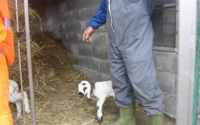 Agriturismo Il Rosone