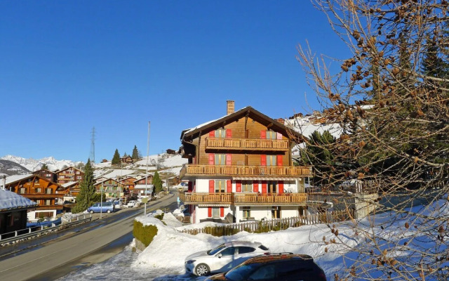 Bergfink Gr Chen in Gr Chen