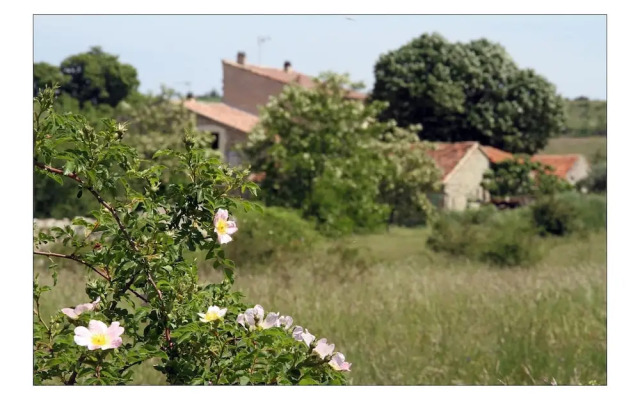 Le Mas de la Chadenière