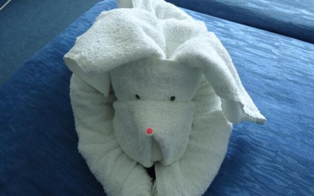 Ruskovi Family Hotel