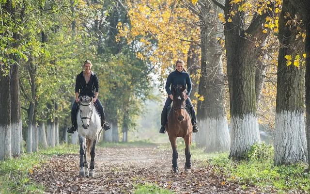 Hotel Torciano Vecchio Asilo