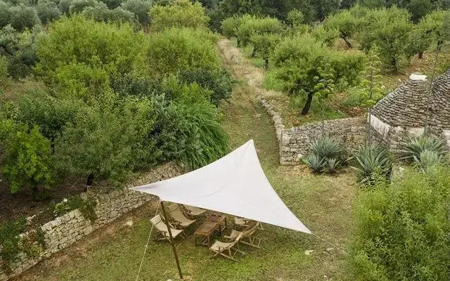 Masseria Sacerdote B&B