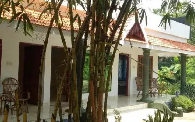 Shiva Rishi Yoga Center