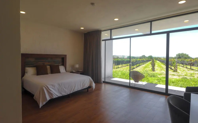 Casa Diamante Viñedos