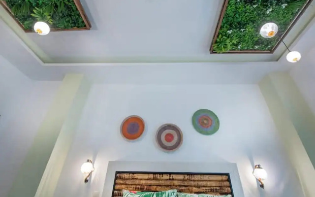 Molucano Themed Rooms