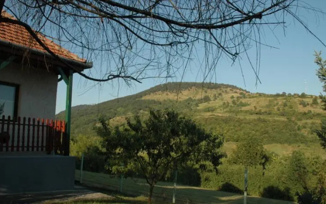 Guesthouse to the Jolly Zwingli
