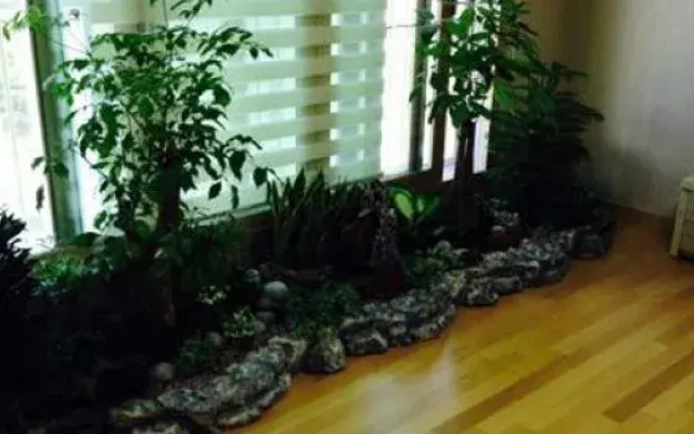 Jin's House