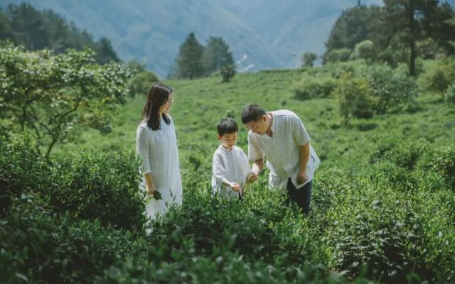 Villa EN Emerald Valley, Huangshan