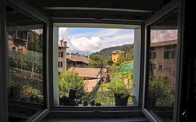 Il Bosco dei 100 Acri