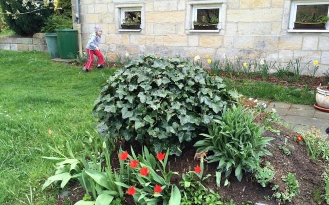 Pension Hönel-Hof Bad Schandau