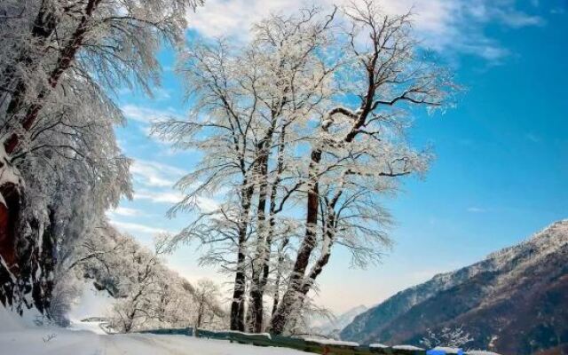 Shanshe · Shennongjia B&B (Muyu Town Store)