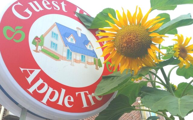 Apple Tree Guest house