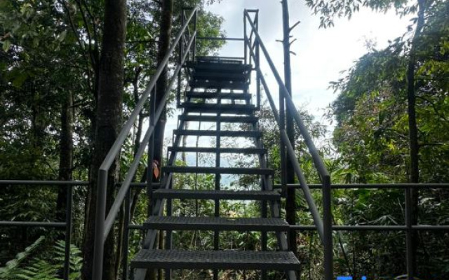 Vanavasa Resort