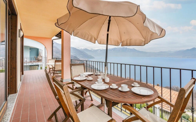 Vigneto due - Trilo 6