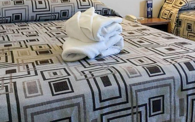 Hotel Terranova Zona Piel