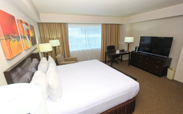 Crowne Plaza Leon by IHG