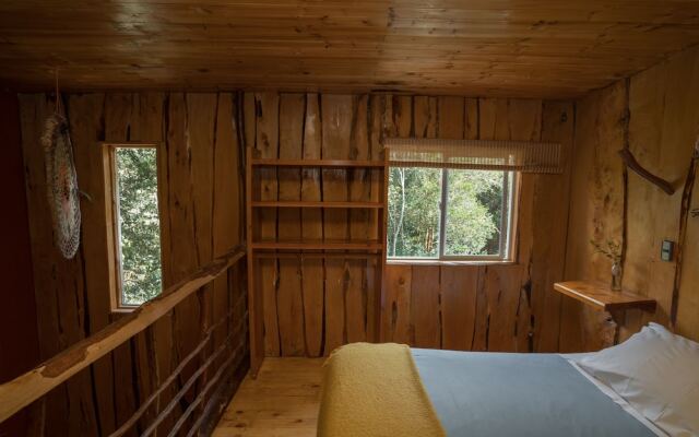 Cabanas Ensenada Bosque Nativo